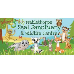 Year 2 Seal Sanctuary &...