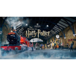 Year 4 Harry Potter Studio Tour: March 2026