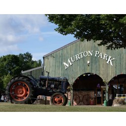 Year 5 Murton Park Trip