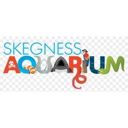 Year 5 Skegness Aquarium Trip