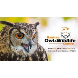 Y2 Baytree Owl Centre Trip