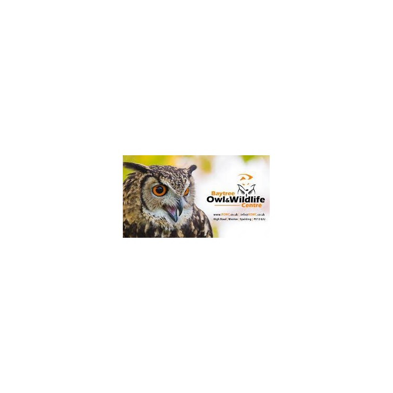 Y2 Baytree Owl Centre Trip